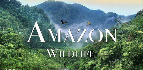 Amazon Wildlife 😍| Love Nature | Animal vibes