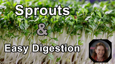 Sprouts Are The Easy Food To Digest - Anna Maria Clement, PhD - Interview