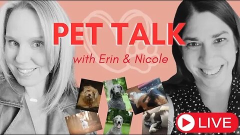 What About Our Pets? Fun Pet Chat With @formerfatgirl and @brewingbetterliving