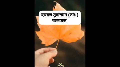 ওজুর কালিমা। ওজুর পর এই কালিমা পাঠ করেন।