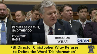 FBI Director Christopher Wray Refuses to Define the Word 'Disinformation'