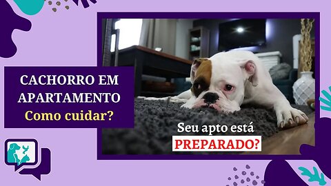 Como Cuidar de CACHORRO EM APARTAMENTO