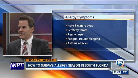 Dr. Soria: Surviving allergy season in South Florida