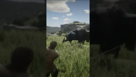 RDR2- When hunting legendary buffalo with a rope