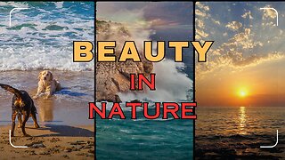 Beauty in Nature #naturebeauty #naturephotography #naturelover