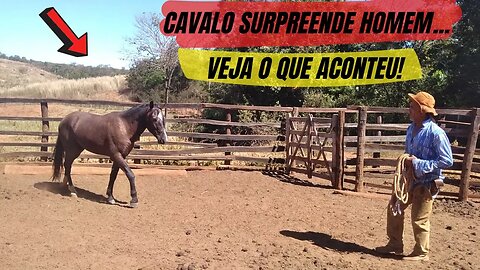 CAVALO SURPREENDE HOMEM, QUANDO CHAMADO PELO VAQUEIRO PO! VEJA O QUE ACONTECEU