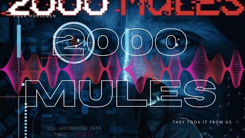 REACTION ****2000 Mules****