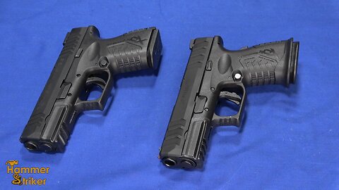 This or That? 10mm or 45 ACP ??