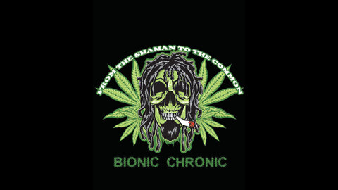 Bionic Chronic - Wank Punter