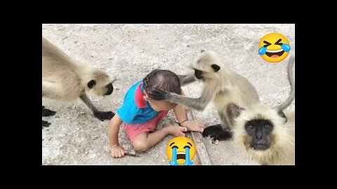 Funny Animals Video Best Dogs😹 and Cats🐶