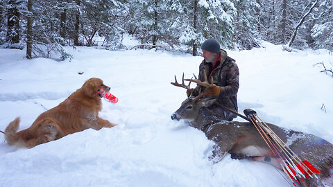 A Bull Moose Attacked my Deer Target | Details of my 2023 Deer Hunt