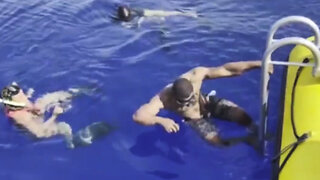 Former UFC Champion Jumps in the Water with 8 Sharks!? - Caught on Camera 2023