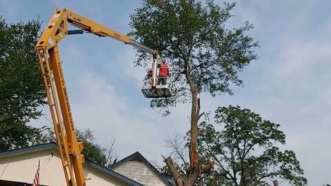 Renting a Haulotte 4527a Trailer Lift to Cut Down Trees.