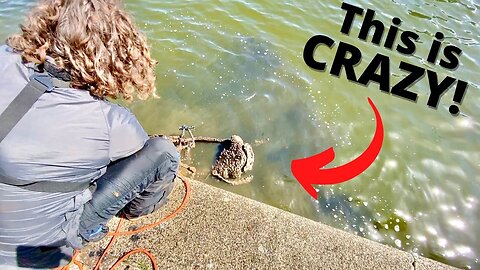 INSANE Magnet Fishing in Amsterdam (You Won't Believe What I Found!)