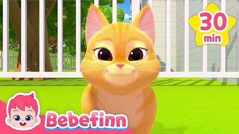 Boo Fluffy Animal Friends and Bebefinn FamilyㅣNursery Rhymes Compilation