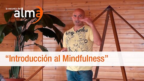 Introducción al Mindfulness - Valencia (España) mayo 2018