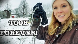 A Giant Mess, A Mystery Box & First Snow FUN (not fun)!
