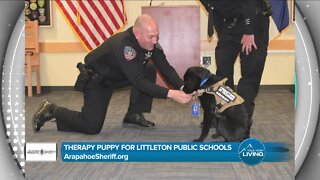 Puppy Therapy For Public Schools // Arapahoe Sheriff