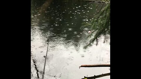 Fishing in the rain