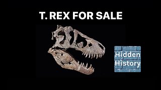 Controversial T-Rex dinosaur skull goes on sale for $20million - but should it be in a museum?