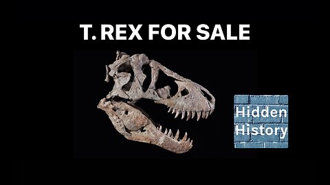 Controversial T-Rex dinosaur skull goes on sale for $20million - but should it be in a museum?