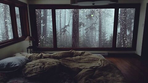 Rain Sound for Sleep - Relaxing Rain Noise in the Misty Forest without Thunder