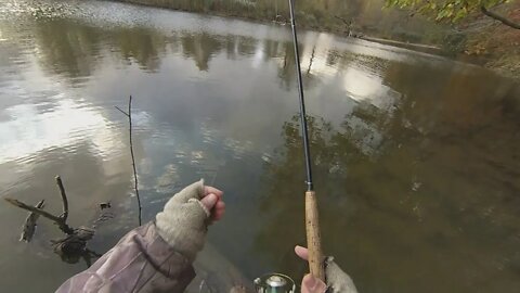 Egg sac - drop and hop presentation for Erie steelhead