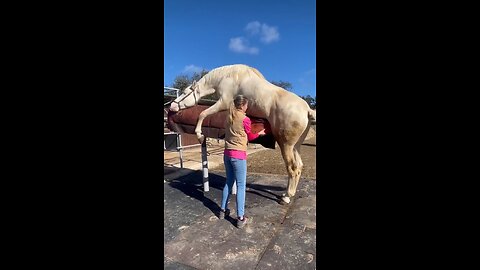 Girl Collecting Horse Semen