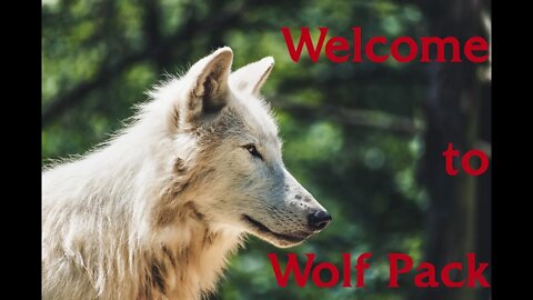 Welcome to Wolf Pack