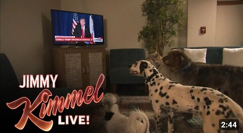 Do dogs take order from donald trump