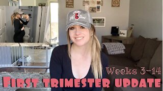 WEEK 3-14 PREGNANCY UPDATE | STAY AT HOME PREGNANT MOM