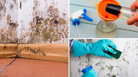 How To Get Rid of Black Mold Naturally