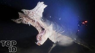 Top 10 Megalodon Sightings That Left Researchers Speechless