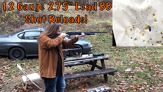 12 Gauge 2 3/4” Lead BB Shot Reloads Range Testing!