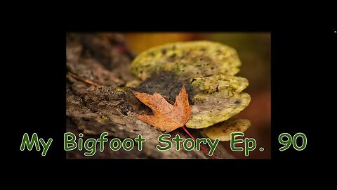 My Bigfoot Story Ep. 90 - Bushman's Paradise