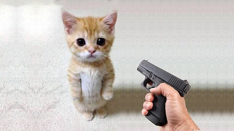 Funny cat😗 vs gun🔫 - funny animals 😂 playind dead on finger shot compilation