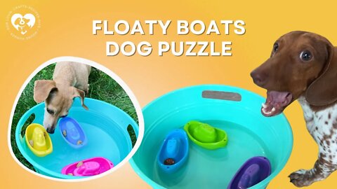 DIY Floaty Boats Dog Puzzle
