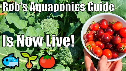 Rob's NEW Aquaponics Guide & System Harvest/Update