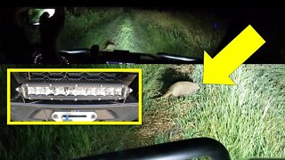 UTV night ride; 2022 Polaris Ranger Northstar Ultimate light bar review (10 inch RIGID light bar)