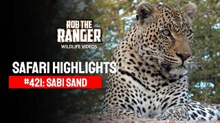 Safari Highlights #421: 09 - 12 July 2016 | Sabi Sand Wildtuin | Latest Wildlife Sightings