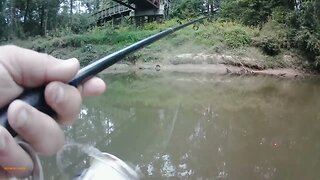 fishing adventure 9/30/23: Missed the biggest Flathead Catfish!