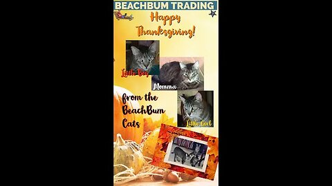 Happy Thanksgiving from the ️ #BeachBumTrading #Thanksgiving Family #HappyThanksgiving