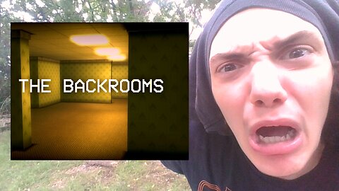 Exploring The BACKROOMS!!! (Fever Dream)