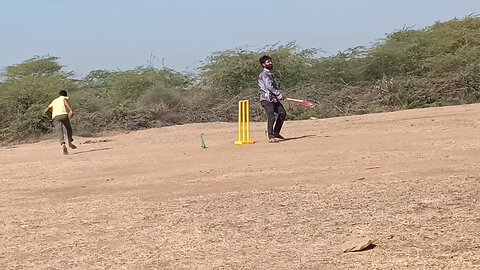 cricket lover