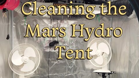 Cleaning the Mars Hydro Tent #MarsHydro #TSW2000 #RootedLeaf