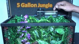 5 Gallon Jungle Fish Tank
