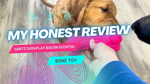 My Honest Review of Hartz Duraplay Dog Toy Bone