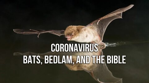 The CORONAVIRUS Connection to BATS, and the BIBLE: How BEDLAM is created when the Bible is Rejected!