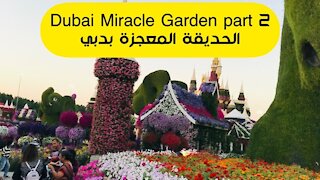 Dubai Miracle Garden part 2 || الحديقة المعجزة بدبي الجزء 2