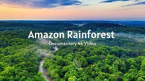 Amazon Jungle | Amazon Rainforest